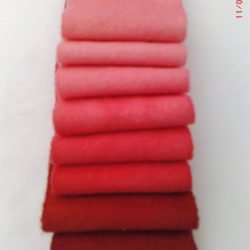 Color Wheel Red