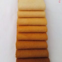 Color Wheel Yellow