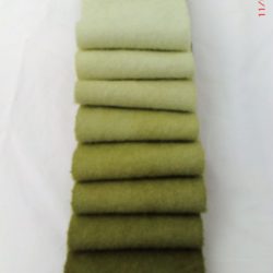 Color Wheel Yellow-Green