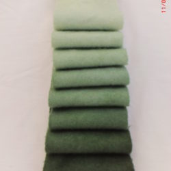 Color Wheel Green