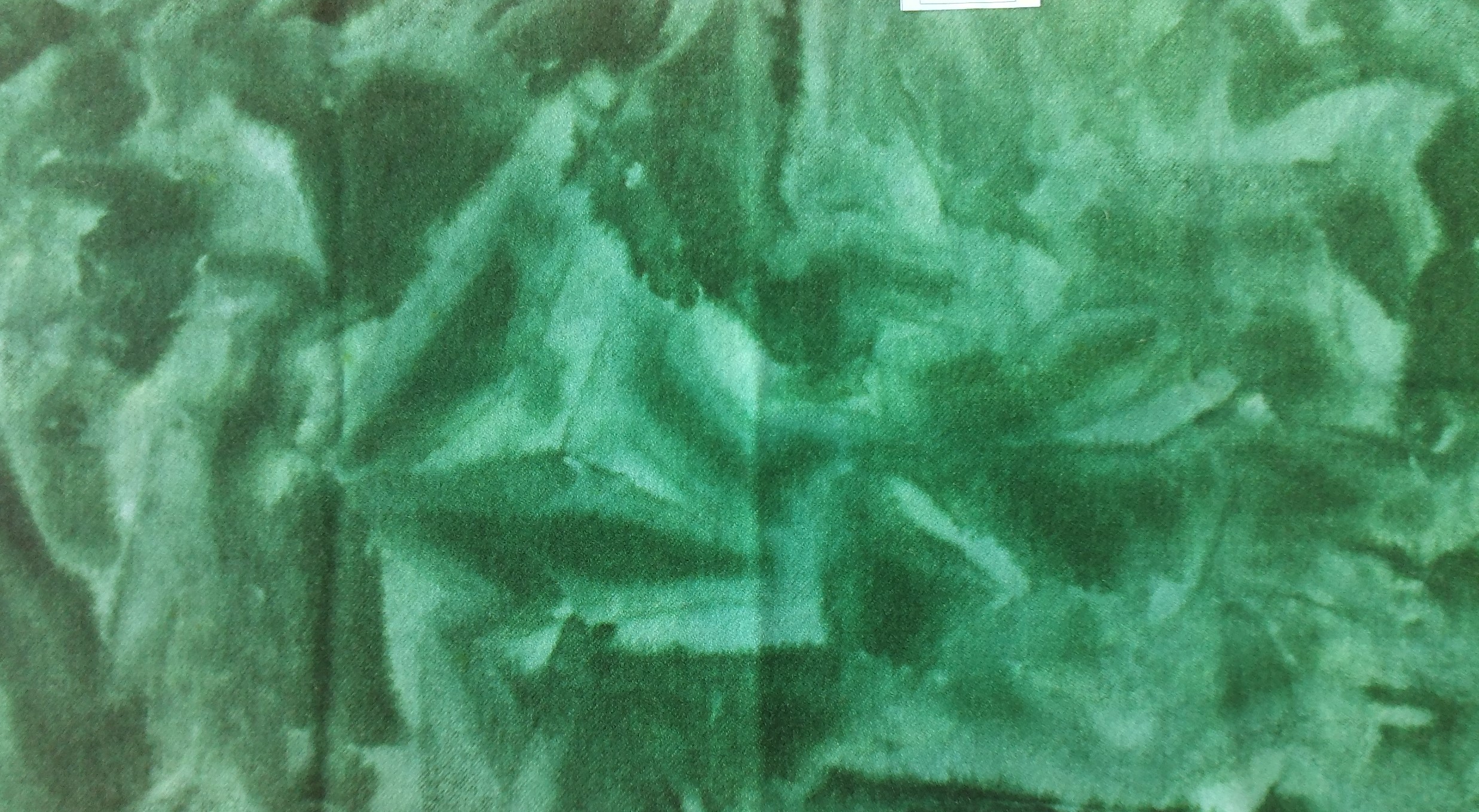 Dark Leaf Green