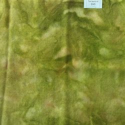 Medium Avocado with toner