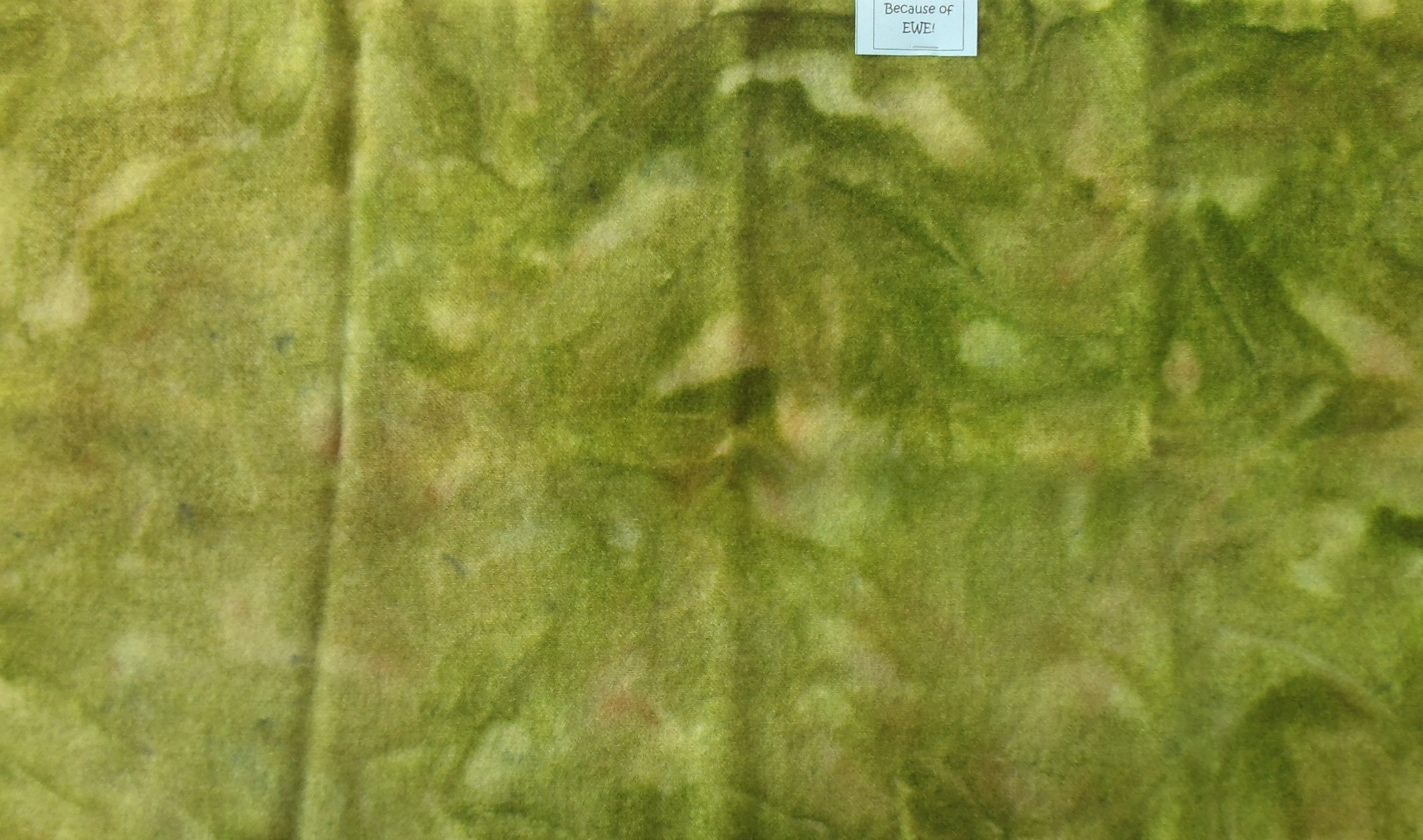 Medium Avocado with toner