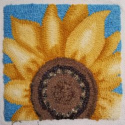 Sunflower close up